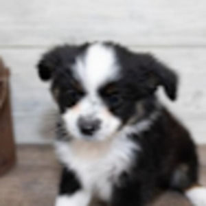 Meet your Posher, Luke